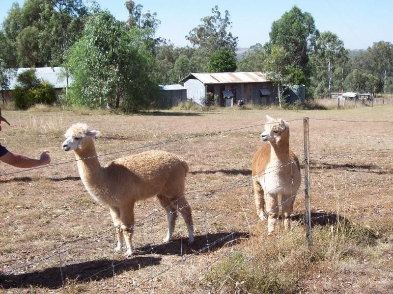 Nanango QLD 4615