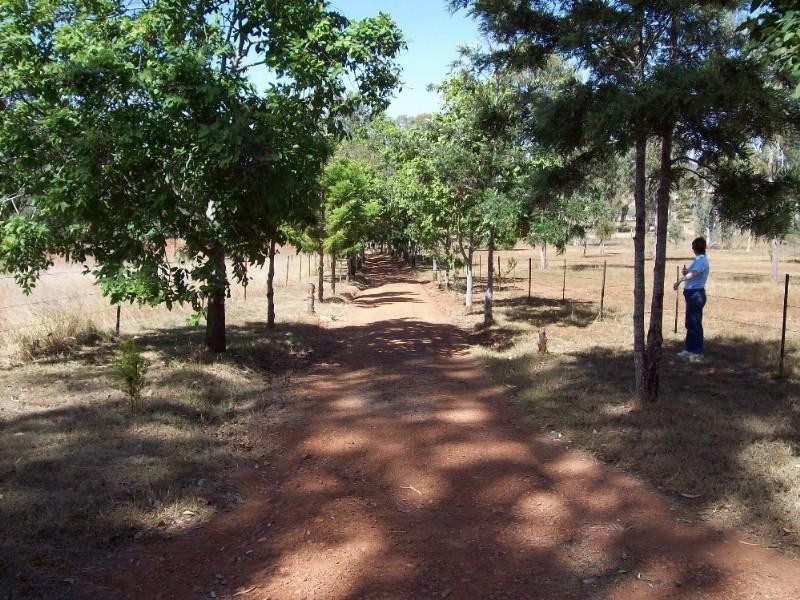 Nanango QLD 4615