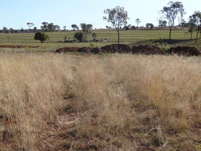 48 Buckingham, Kingaroy QLD 4610