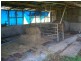 Taabinga QLD 4610