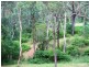 Kingaroy QLD 4610
