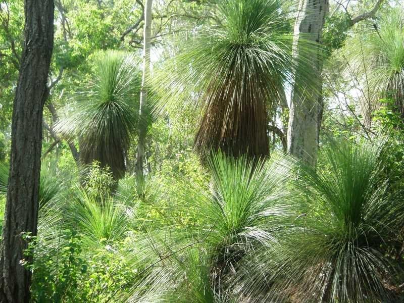 lot 73 Kingaroy-Cooyar Road, Maidenwell QLD 4615