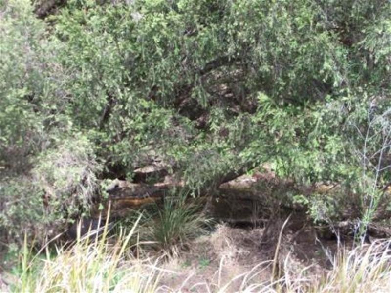 lot 73 Kingaroy-Cooyar Road, Maidenwell QLD 4615