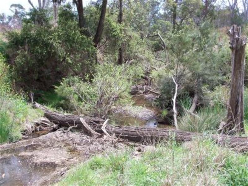 lot 73 Kingaroy-Cooyar Road, Maidenwell QLD 4615