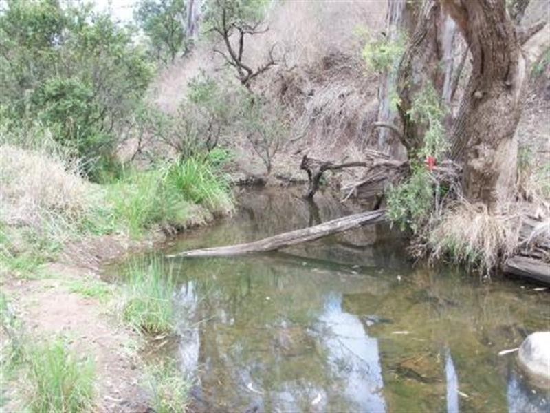 lot 73 Kingaroy-Cooyar Road, Maidenwell QLD 4615