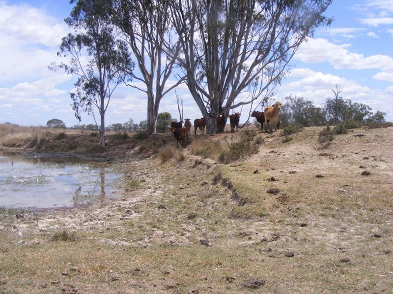 Murgon QLD 4605