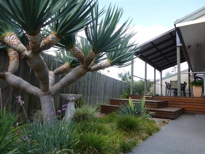 5 Rita Court, Kingaroy QLD 4610