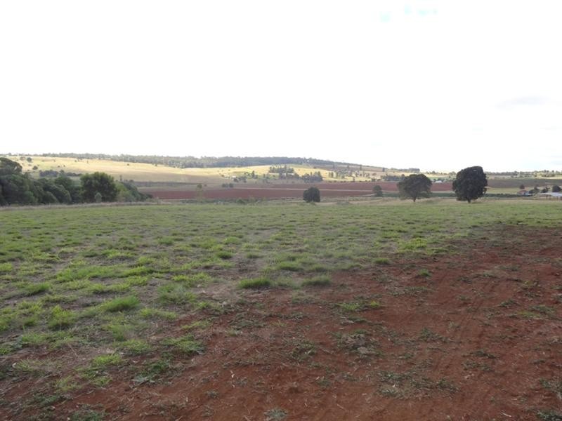 Kingaroy QLD 4610