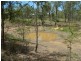 Wattle Camp QLD 4615