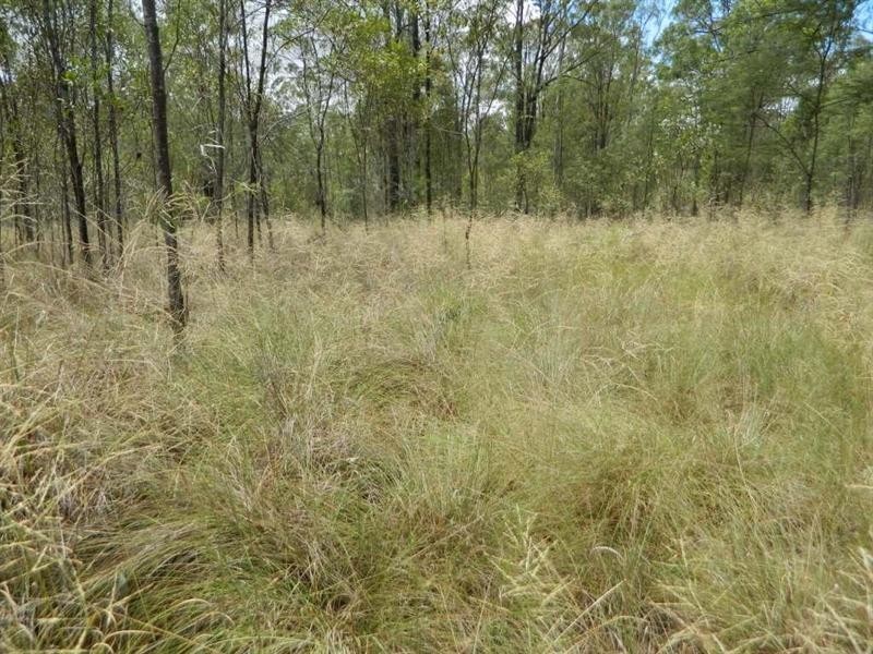 Wattle Camp QLD 4615