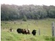 297 Birt Road, Kingaroy QLD 4610