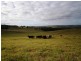297 Birt Road, Kingaroy QLD 4610