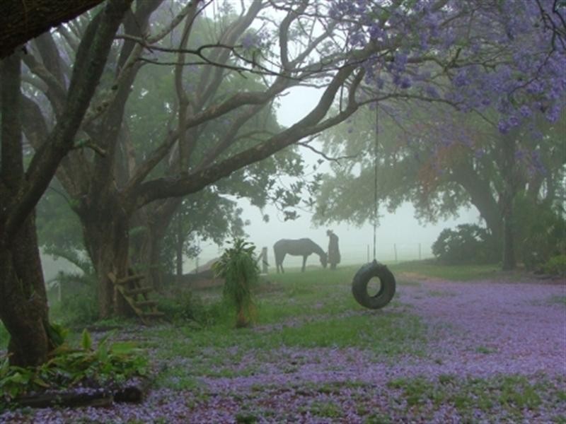 297 Birt Road, Kingaroy QLD 4610