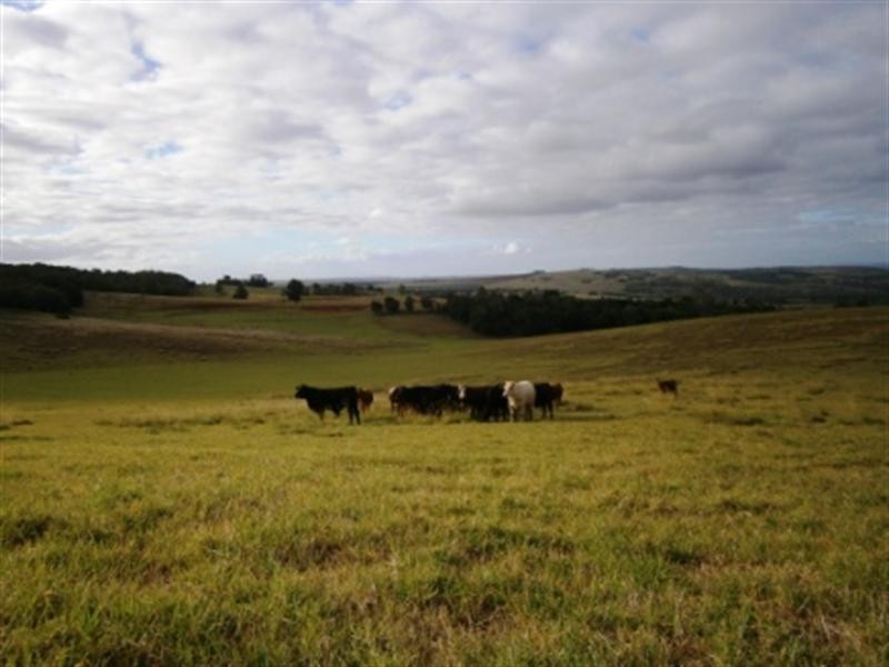 297 Birt Road, Kingaroy QLD 4610