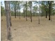 286 Brocklehurst Road, Wattle Camp QLD 4615