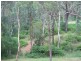 291 Boardman Road, Kingaroy QLD 4610