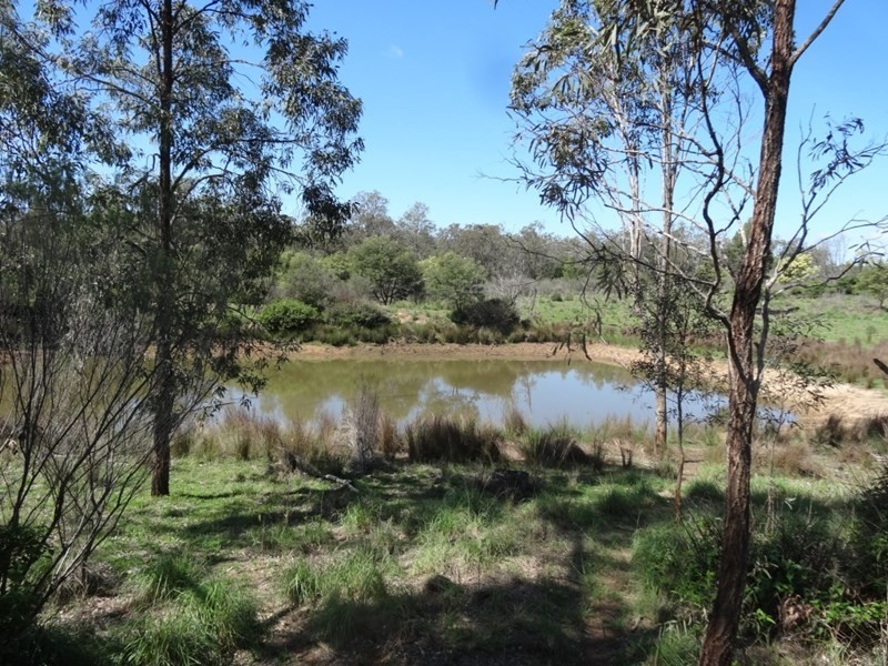 Kingaroy QLD 4610