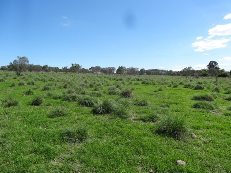 Kingaroy QLD 4610
