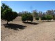 Kingaroy QLD 4610