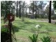 Nanango QLD 4615
