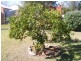 Nanango QLD 4615