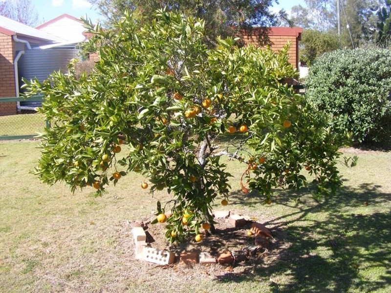 Nanango QLD 4615