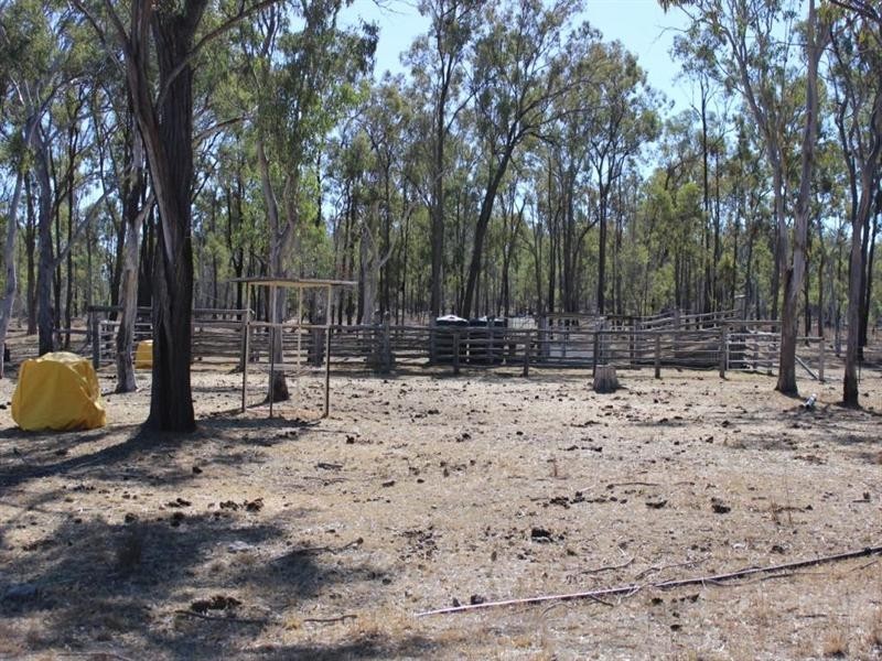 449 Lawsons broad Road, Coverty QLD 4613