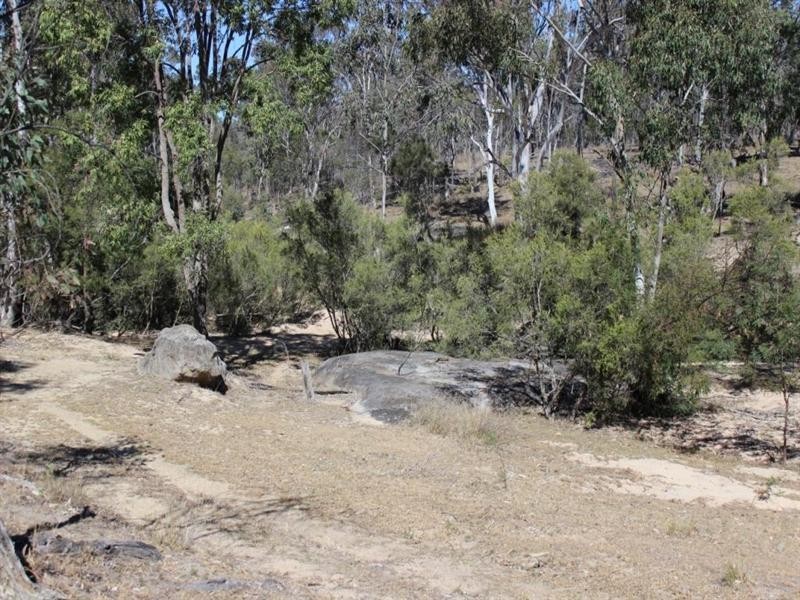 449 Lawsons broad Road, Coverty QLD 4613