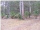 Blackbutt QLD 4306