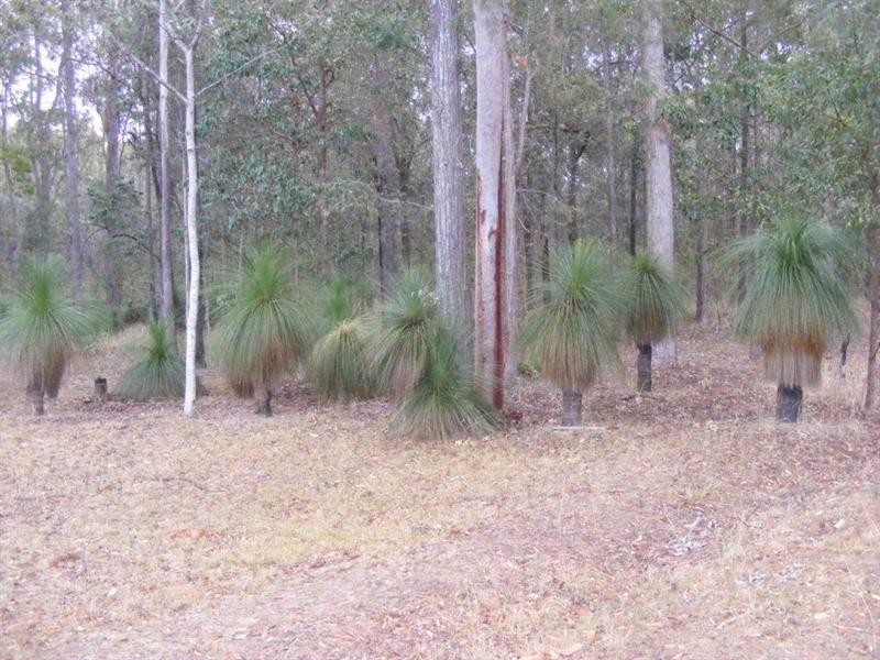 Blackbutt QLD 4306