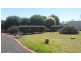 99 Baynes Street, Wondai QLD 4606