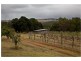 Kingaroy QLD 4610