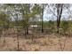 97 Mcnicholl Road, Wattle Camp QLD 4615