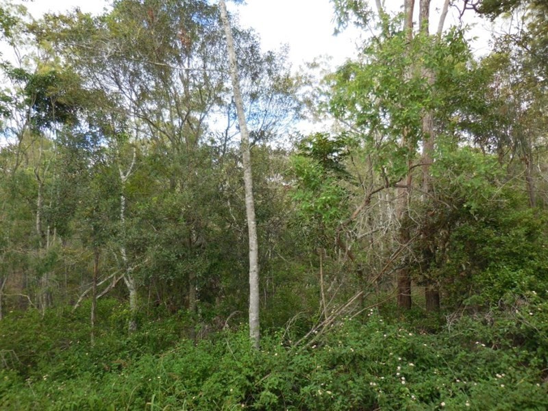 lot 9 Old Taabinga Road, Brooklands QLD 4615