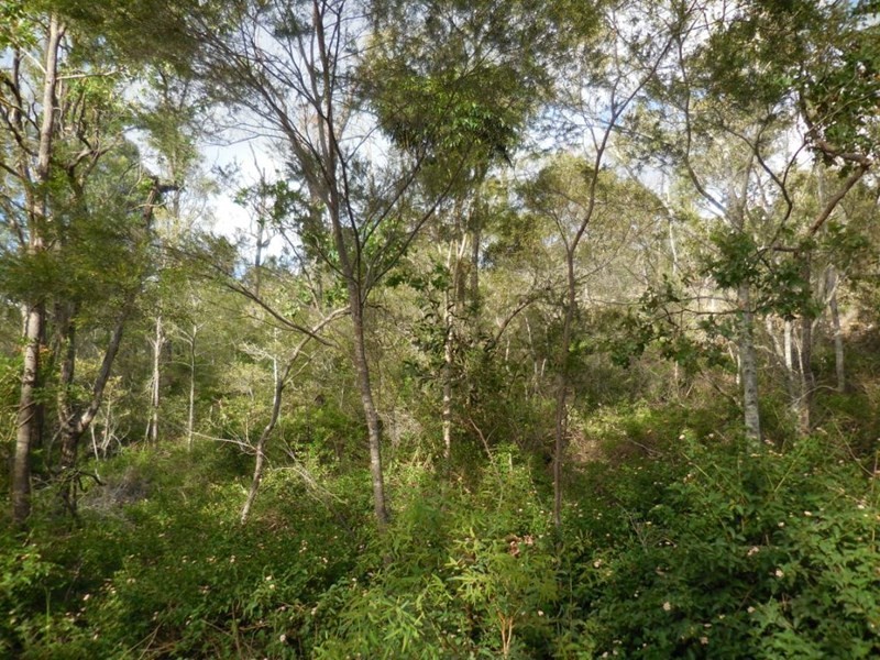 lot 9 Old Taabinga Road, Brooklands QLD 4615