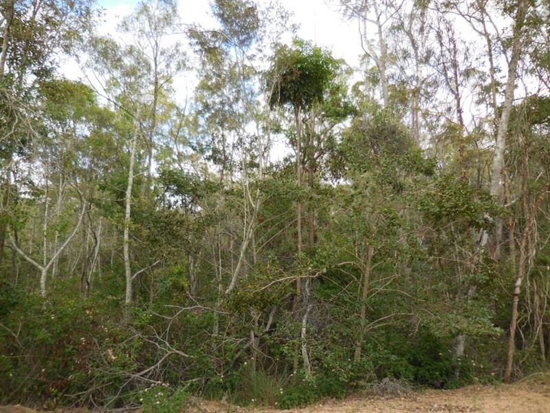 lot 9 Old Taabinga Road, Brooklands QLD 4615