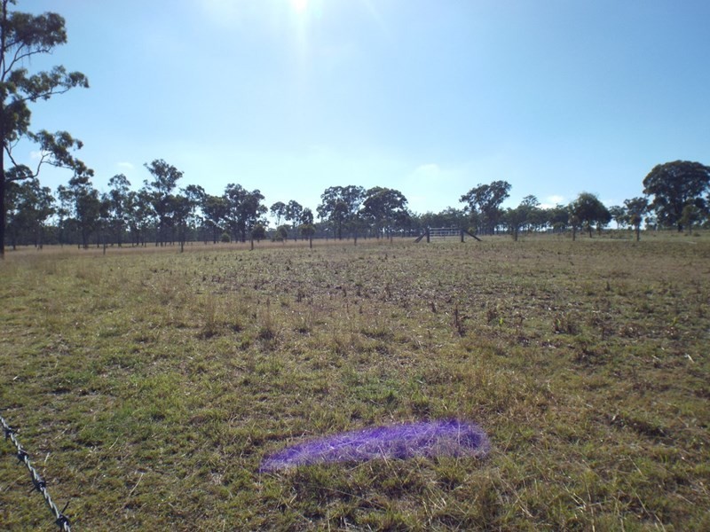 207 Stuart Valley Drive, Kingaroy QLD 4610