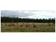 9986 Bunya Highway, Kingaroy QLD 4610