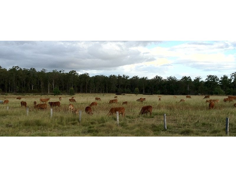 9986 Bunya Highway, Kingaroy QLD 4610