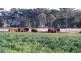 9986 Bunya Highway, Kingaroy QLD 4610