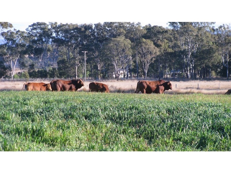 9986 Bunya Highway, Kingaroy QLD 4610