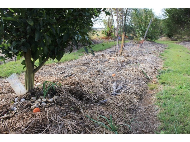 9 albion, Kingaroy QLD 4610