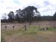Yarraman QLD 4614
