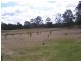 Yarraman QLD 4614