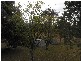 Blackbutt QLD 4306