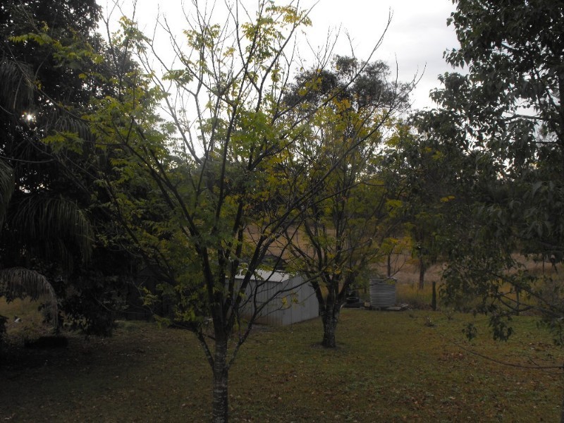 Blackbutt QLD 4306