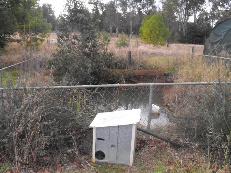 Blackbutt QLD 4306