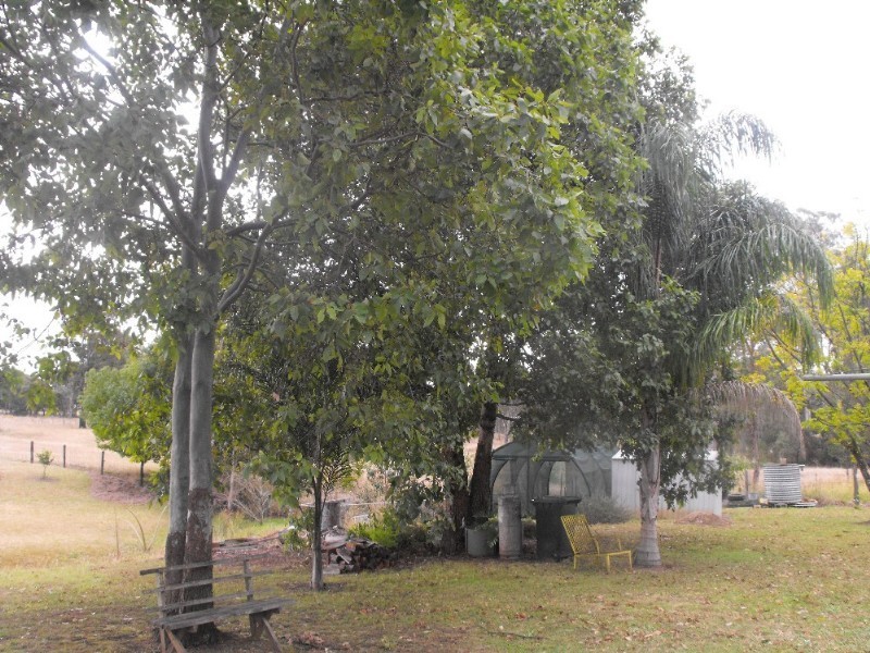 Blackbutt QLD 4306