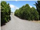 14 Palm Court, Kingaroy QLD 4610