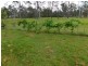232 Franks Road, Blackbutt QLD 4306